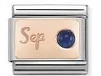 Classic S. Steel & 9ct Rose Gold September SAPPHIRE